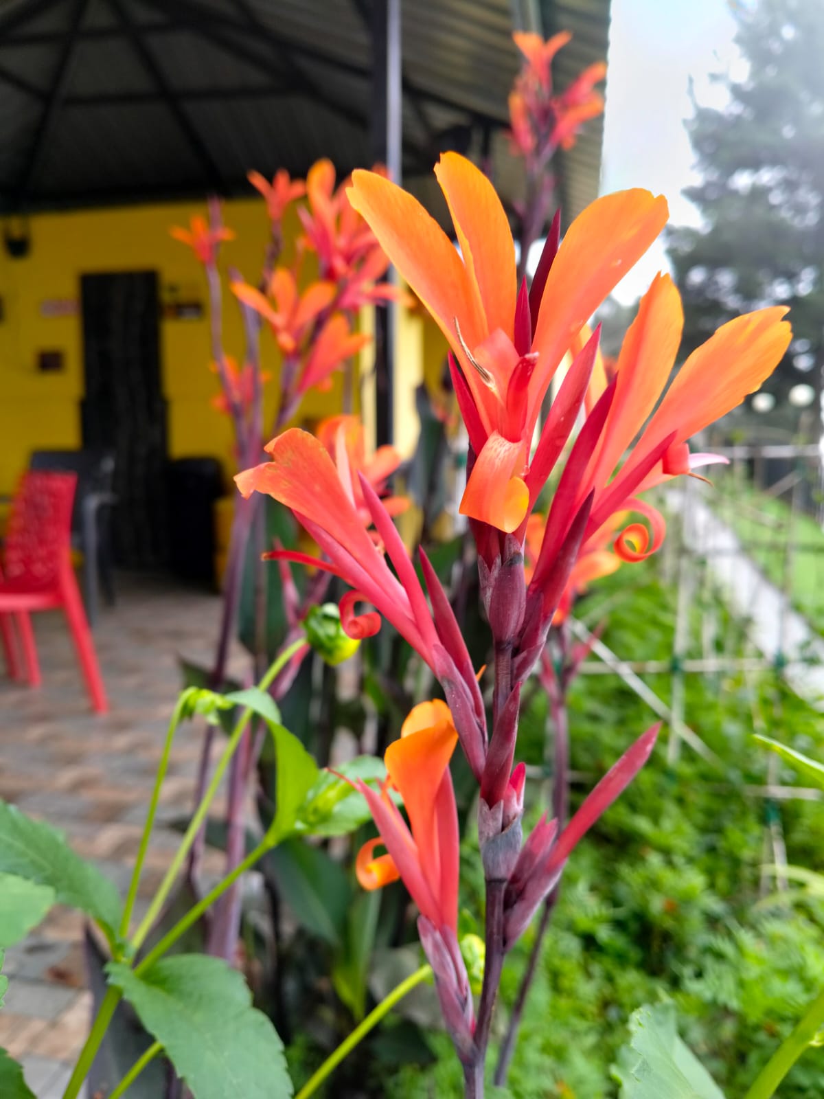 test